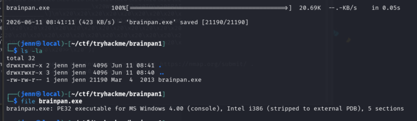wget downloading brainpan.exe and file command confirming 32-bit Windows console executable